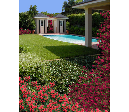 POOL ANCHORED BY CABANA BUILDINGS